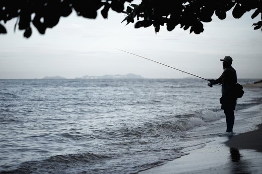 Silhouette of fisherman fishing with spinning rod on ocean beach framed by tree leaves at dusk, Thailand