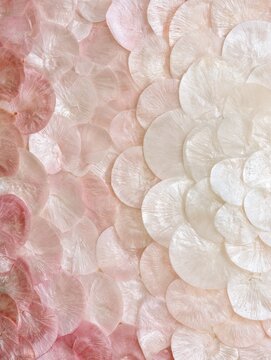 Capiz shell mosaic with a soft ombre transition from white to pink, creating an elegant iridescent decorative texture.