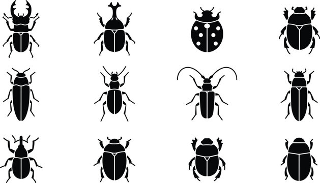 Beetle Silhouette Icon Set with Various Insect Species, Scarab, Ladybug and Stag Beetle Shapes for Nature, Entomology and Wildlife Designs