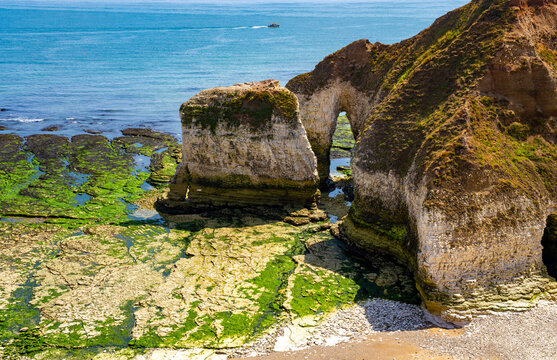 Dramatic chalk cliffs and a natural sea arch at Flamborough Head on the East Yorkshire coast, exposed at low tide with rocky platforms, green algae and the blue North Sea in the background.