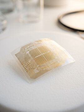 Flexible Neural Interface Electrode Patch For Visual Prosthetic Research
