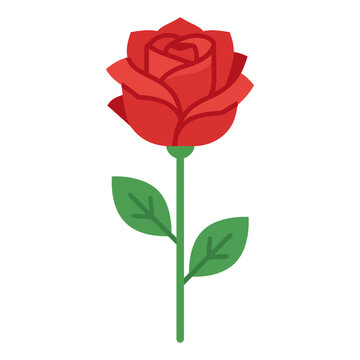 Beautiful red rose with green leaves