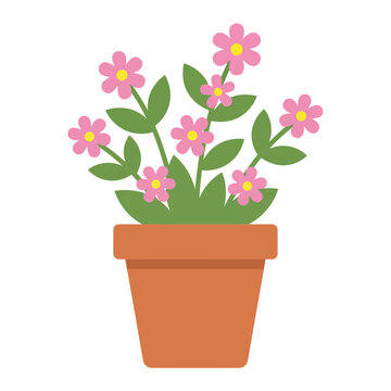 Pink flowering plant inside terracotta pot