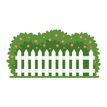 Green garden hedge with white fence