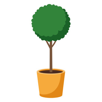 Round topiary tree inside orange pot