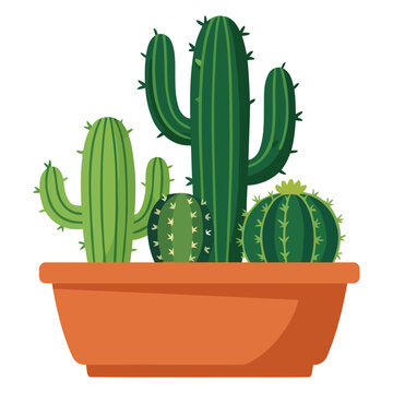 Green cactus collection inside orange planter