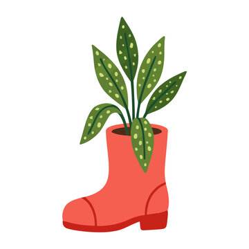 Green plant growing inside red boot