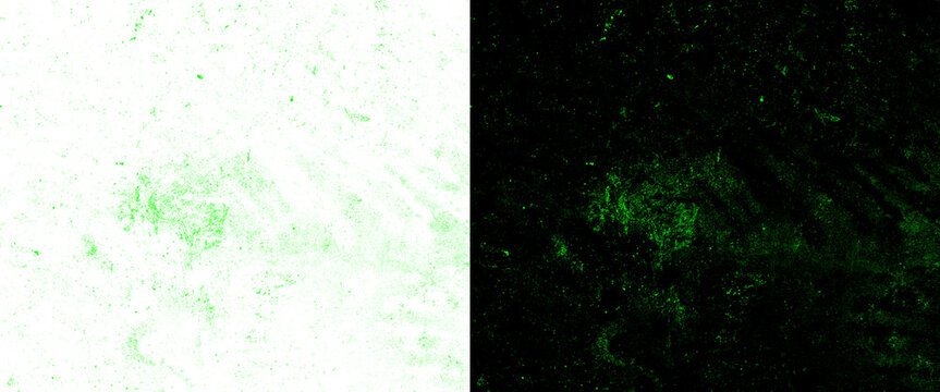 Green grunge texture background set, distressed abstract noise overlay, split screen dark and light textured design elements