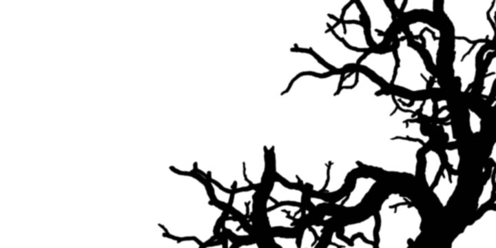 Black silhouette of a bare tree branch isolated on a white background