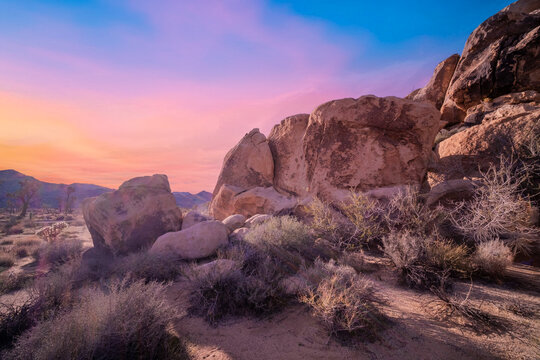 Joshua Tree National Park Landscape at Sunset, California 