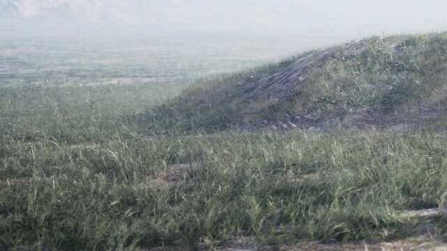 A green hill rises in a field filled with tall grass. Fog covers the area, creating a misty atmosphere. The scene is natural and calm, showing no people or animals.