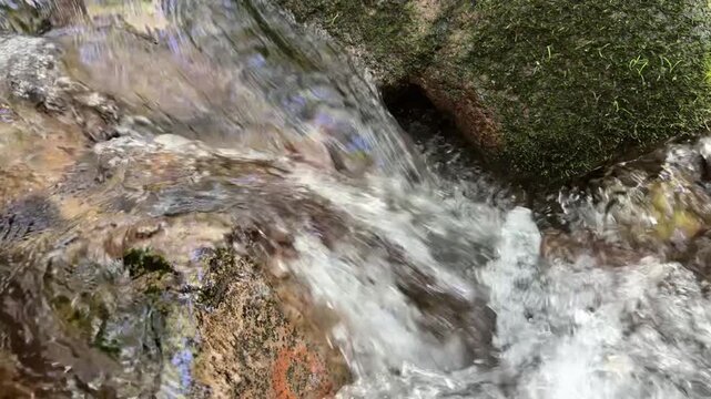 渓流の流れ