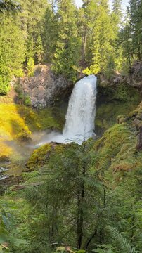 Sahalie Falls in the Willamette National Forest in the Cascade Mountains of Oregon on a summer morning.
