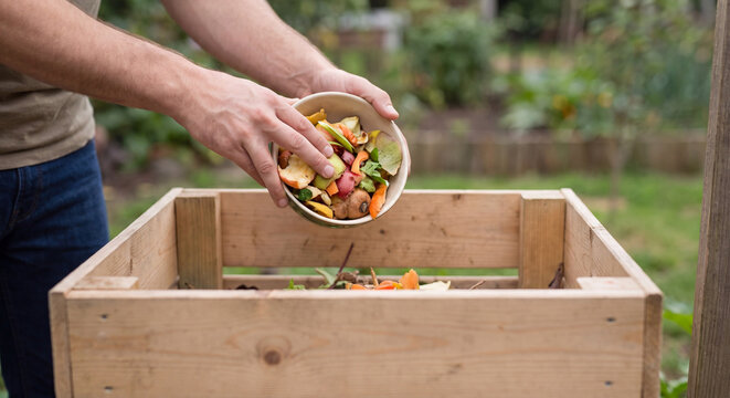 Close up of human hands emptying a bowl of raw organic food scraps and vegetable peelings into an outdoor wooden garden compost bin