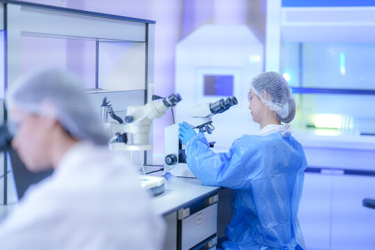 A pair of women laboratory researchers in white lab coats, hairnets and clear safety goggles settling in at the stereo microscope in a blue gown in a modern medical research laboratory.