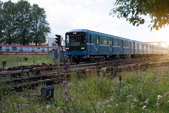 Train travels on its tracks through a peaceful landscape. Lush green trees and tall grass frame the scene, creating a serene atmosphere in the afternoon light