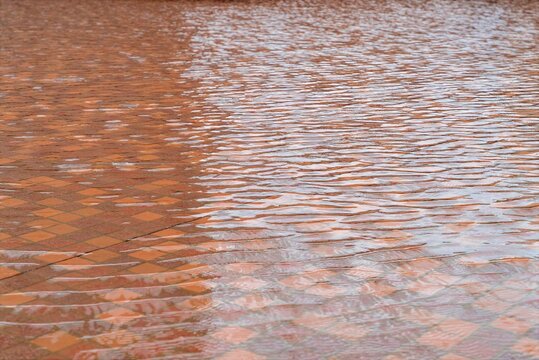 Wet Red Brick Pavement with Reflective Rainwater Texture