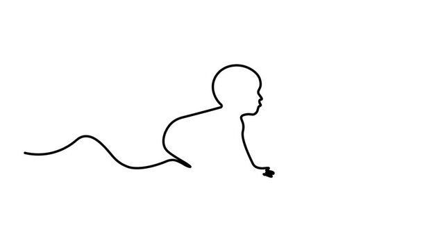 Self-drawing minimalist animation of a cute sitting baby.  Clean white background, elegant hand-drawn vector outline, smooth line animation, minimal details, charming modern style, 4K resolution.