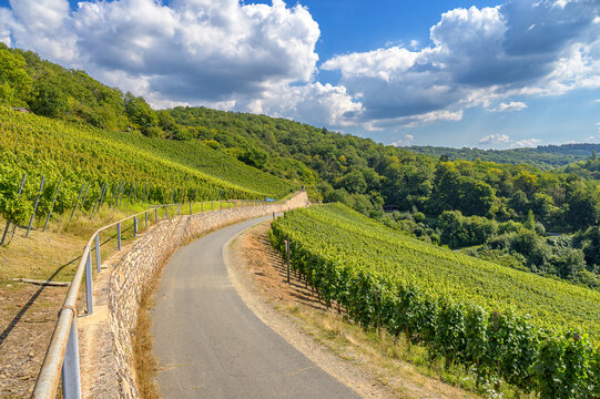 Stra&szlig;e die in weitem Bogen durch einen Weinberg f&uuml;hrt 058921