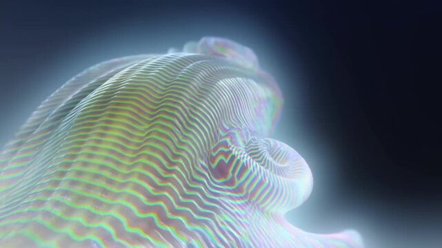 Ribbed ammonite spiral shell in closeup with iridescent light against dark background