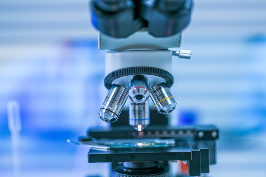 Scientific glassware and sample tubes on a laboratory bench arranged inside a university biotechnology laboratory, concentrating on precise and repeatable scientific measurement work.