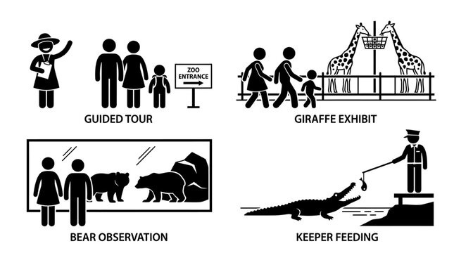 Zoo visitor and keeper activities including guided tours giraffe exhibits and animal feeding sessions.