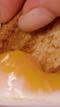 Hand Dips Toasted Bread Into a Runny Fried Egg Yolk on a White Plate, Close Up Food Preparation and Breakfast Meal Vertical video.