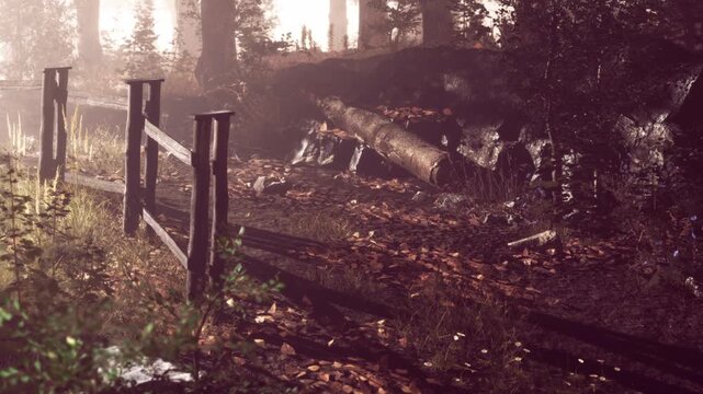 A forest scene shows a path with fallen trees and a wooden fence. Leaves cover the ground and fog surrounds the tall trees. The atmosphere suggests early morning or late afternoon.
