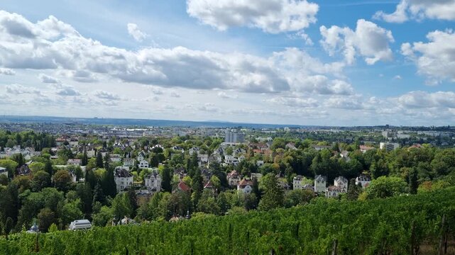 Wiesbaden, Hesse, Germany: Panoramic view from Neroberg over green vineyards and Wiesbaden cityscape under cloudy summer sky.