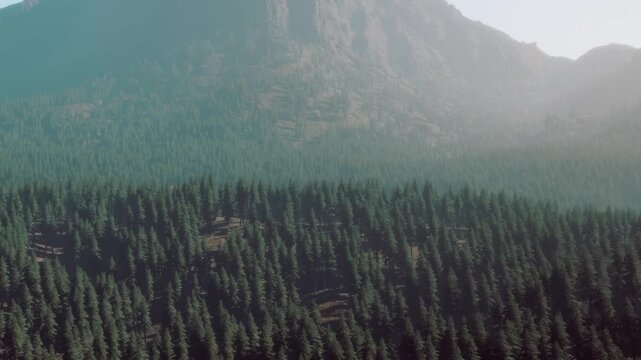 A vast area of green trees spreads across the landscape with mountains rising in the distance. The sun shines down creating a bright scene filled with nature.