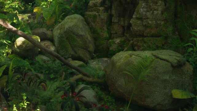 Rocks of different sizes are surrounded by various plants and flowers in a forest. Sunlight filters through the trees, creating shadows on the ground.