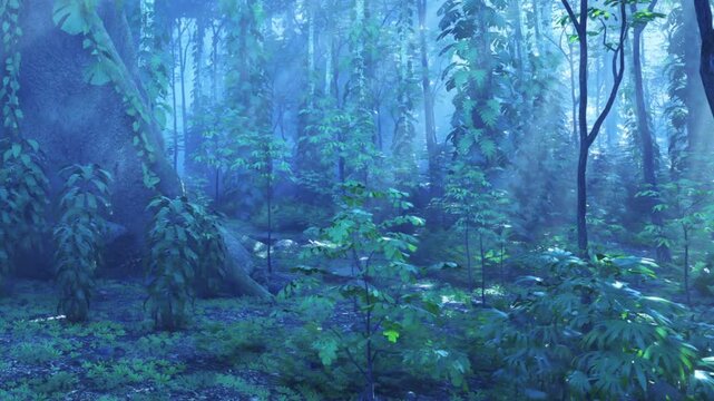 Bright sunlight shines through tall trees in a forest. Small plants grow on the forest floor. The scene shows early morning light and fresh greenery all around.