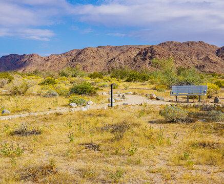 The Colorado Desert and The Eagle Mountains on The Bajada Loop Nature Trail, Joshua Tree National Park, California, USA