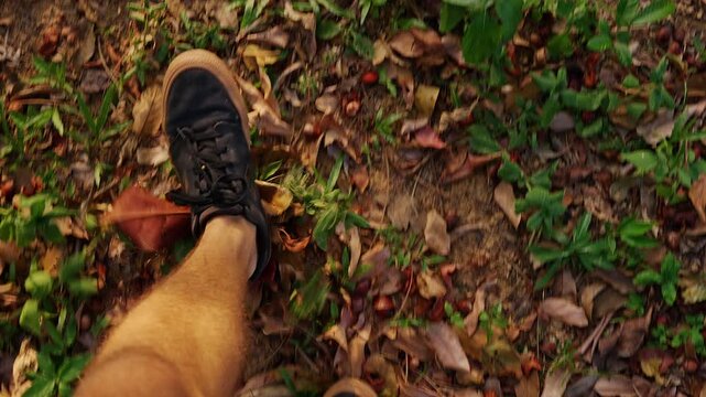 Person Walks Along a Leaf Covered Forest Trail, First Person View Shows Black Sneakers and Bare Legs, Supporting Outdoor Exercise and Nature Lifestyle