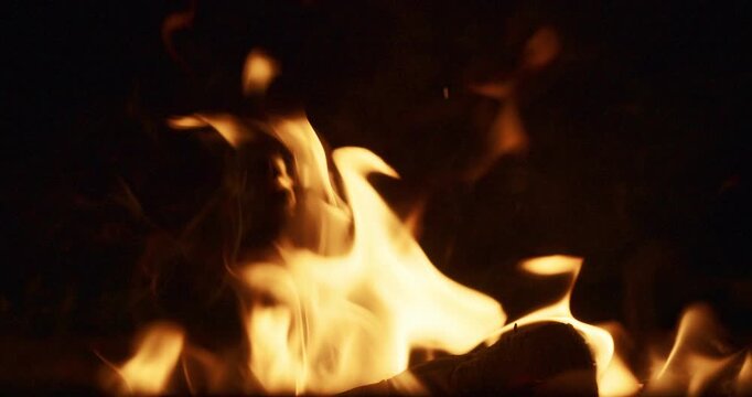 Full Frame Burning Fire with Dark Wood Logs 2x Slow Motion