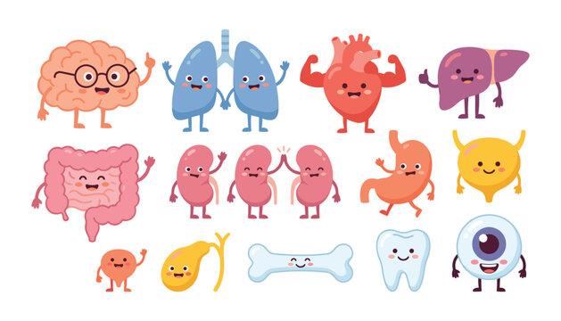 Cute Internal Human Organs Vector Character Set Featuring Happy Cartoon Brain Lungs Heart Liver Stomach Intestines Kidneys Bone and Tooth for Medical Education
