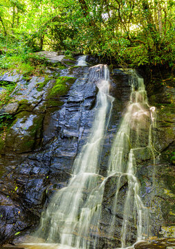 Juney Whank Falls Cascading Eighty Feet Down a Rock Wall, Great Smoky Mountains National Park, North Carolina, USA