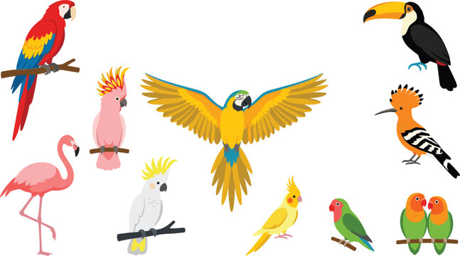 Cute Cartoon Tropical and Exotic Birds Vector Asset Set Featuring Macaw Parrot Flamingo Toucan Cockatoo Hummingbird and Lovebirds for Kids Designs