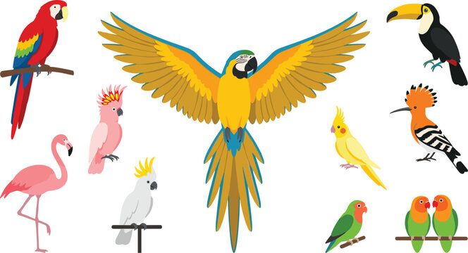 Cute Cartoon Flat Exotic and Tropical Birds Vector Asset Set Featuring Macaw Parrots Flamingo Toucan Cockatoo Cockatiel and Lovebirds for Children Designs