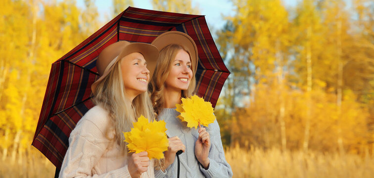Happy two women friends with autumn yellow leaves, holding umbrella, smiling girlfriends in park