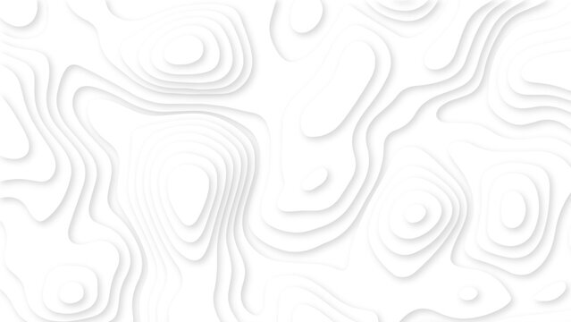 Abstract White Topographic Contour Background with Layered Organic Lines and Soft Shadows. Minimal White Topographic Map Pattern with 3D Contour Lines and Subtle Depth.