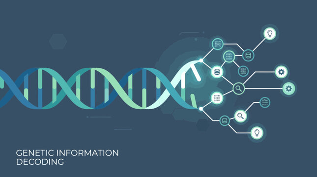 This flat design illustration visualizes the unlocking of genetic code, depicting a glowing DNA helix transforming into digital information and interconnected nodes.