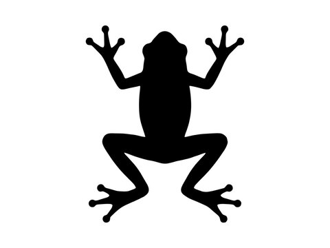 Black frog silhouette icon vector design, simple amphibian wildlife animal symbol graphic illustration