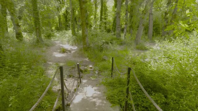 Preciosa ruta bot&aacute;nica de la torrecilla