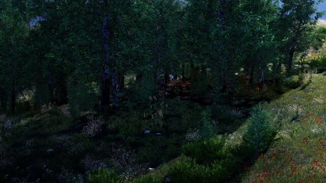 Sunlight shines through green trees in a forest. Various plants and flowers grow on the ground. The scene shows natural beauty and a diverse landscape filled with life.
