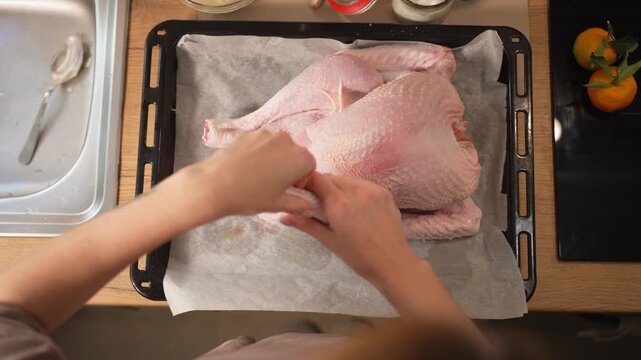 Top-down view of a woman's hands preparing a whole raw turkey for a festive family dinner, placing the bird on a baking tray with parchment paper and prepping it for roasting