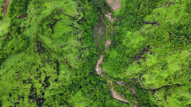 Aerial view of the lush green landscape and winding stream within Ciletuh Geopark in Sukabumi, West Java, Indonesia.
