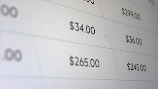 Close-up of scrolling through a budgeting spreadsheet. Worksheet with numbers, dollars, and financial tracking system.