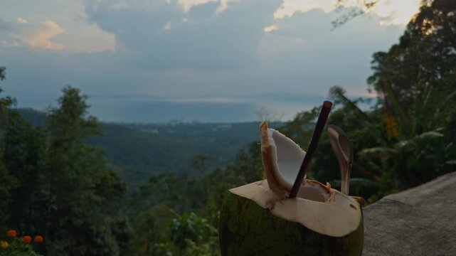 Fresh Green Coconut Drink Sits on a Terrace Above Lush Tropical Forest and Distant Sea, Supporting Natural Relaxation and Travel Lifestyle
