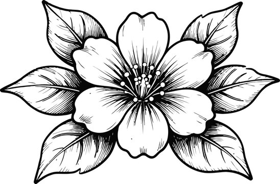 Detailed black and white floral illustration with leaves and blooming flower design